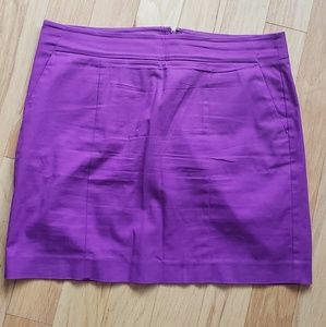 Ann Taylor Madison skirt size 12